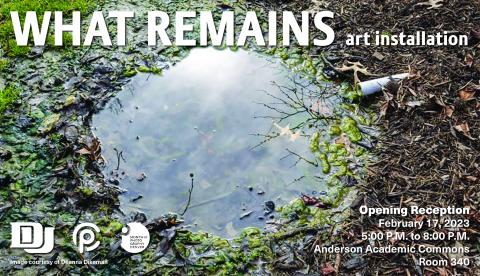Image of litter in a puddle by Deanna Dikeman