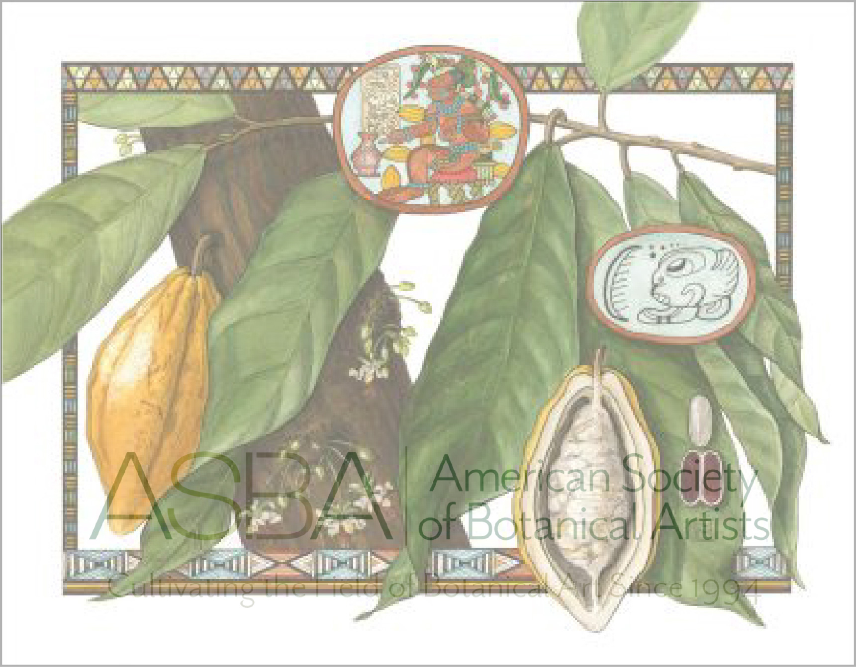 Cocoa (Chocolate) Theobroma cacao (scientific name in italics) by Shiere Melin. Mixed media on Strathmore mixed media board.